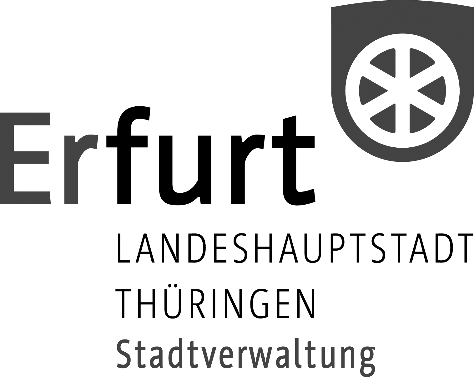 Logo-EF-Stadtverw-grau